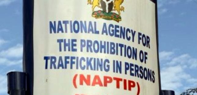 NAPTIP-LOGO-696x391-1