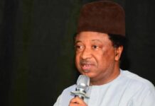 SHEHU SANI TO ADC: STOP LOOKING ABROAD, FOCUS ON WINNING NIGERIANS’ VOTES