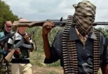 KATSINA AMNESTY FOR BANDITS SPARKS REACTIONS AS 70 BANDITS SET FOR RELEASE