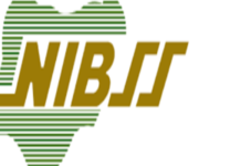 ‘N25.85B LOST TO BANK FRAUD LAST YEAR’