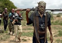 BANDITS RETREAT UNDER HEAVY SECURITY FIRE, ABANDON 452 RUSTLED ANIMALS