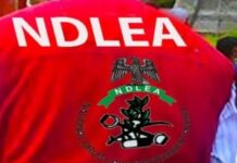 NDLEA OFFICERS TESTIFY IN ABBA KYARI’S DRUG TRAFFICKING CASE AS COURT EXAMINES 19.5KG COCAINE EXHIBITS