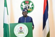 Tinubu in Abu Dhabi: Positioning Nigeria’s Reform Agenda on the Global Investment and Energy Transition Stage.