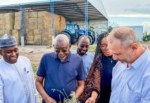 JIGAWA, ARGENTINA STRENGTHEN LIVESTOCK TIES AS NIGERIA ADVANCES ALFALFA‑LED EXPORT STRATEGY
