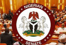 2026 APPROPRIATION BILL: SENATE DEFENDS BORROWING TO FUND N25.91TRN DEFICIT, PUSHES POWER SUBSIDY EXIT
