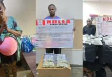NDLEA NABS WOMAN WITH DRUG-FILLED ‘FAKE PREGNANCY’ AT SEME BORDER (VIDEO)