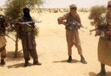 TERRORISTS AMBUSH NIGERIAN POLICE TEAM, KILL DPO, CSP SAGIR IN KATSINA FOREST OPERATION