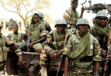 TROOPS RECORD MAJOR WIN, 16 ISWAP TERRORISTS KILLED IN BORNO
