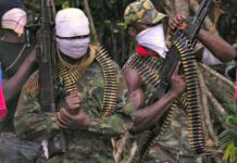 KIDNAPPERS ABDUCT NINE FAMILY MEMBERS IN EDO STATE, DEMAND N260 MILLION RANSOM