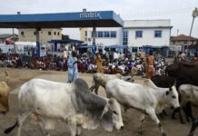 ANTI-CHRISTIAN VIOLENCE: US RAMPS UP PRESSURE ON NIGERIA’S FULANI