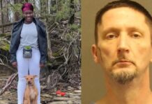 23-YEAR-OLD NIGERIAN LADY DIES IN U.S AFTER A 52-YEAR-OLD DRIVING AT HIGH SPEED CRASHED INTO HER