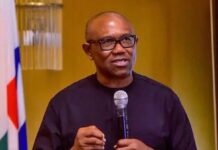 2027: HOW WE PLAN TO REDUCE PETER OBI’S INFLUENCE IN THE SOUTH – APC DEPUTY CHAIR