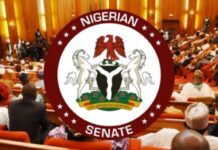 CONTROVERSY AS SENATE REMOVES SENATOR NATASHA’S NAME FROM UN WOMEN EVENT, REPLACES HER WITH MALE COUNTERPART