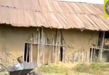SHOCKING STATE OF KOGI PRIMARY SCHOOL BUILT WITH MUD, BAMBOO, WITHOUT DOORS, WINDOWS OR CEILINGS