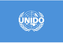 UNIDO, CHINA PARTNER TO EXPAND NIGERIA’S HYDROPOWER CAPACITY