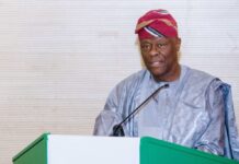 NO PLAN TO BORROW FROM IMF’S $50BN FUND – FG