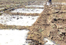 IRRIGATION FARMING UNDER THREAT