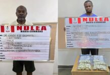 NDLEA ARRESTS 93-YEAR-OLD GRANDPA, 69-YEAR-OLD DOCTOR, OTHERS OVER DRUG TRAFFICKING (PHOTOS)