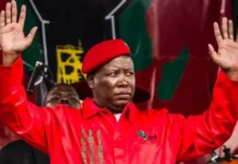 SOUTH AFRICA OPPOSITION LEADER JULIUS MALEMA SENTENCED TO PRISON OVER GUN CHARGES