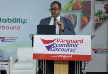 VANGUARD ECONOMIC DISCOURSE: HOW NIGERIA CAN ACHIEVE FOOD SECURITY – EXPERTS