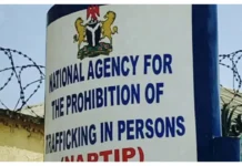 KANO GOVT, NAPTIP UNCOVERS CHILD’S ADOPTION CHAINS