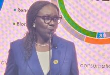 OVER 300 FIRMS COMPETE FOR 50 OIL BLOCKS IN LICENSING ROUND