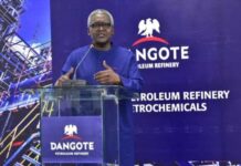 DANGOTE UNVEILS AMBITIOUS MULTI-BILLION-DOLLAR OLOKOLA DEEP SEAPORT PROJECT