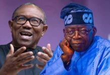 ‘NO DOCUMENT, NO MANIFESTO’ – TINUBU PRESIDENCY SAYS PETER OBI’S NDC LACKS CLEAR PROGRAMMES AHEAD OF 2027