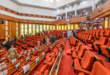 BREAKING: STATE POLICE NEAR REALITY AS SENATE MOVES TO AMEND CONSTITUTION, TRANSMISSION TO STATES NEXT
