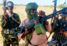 4 KILLED AND 11 OTHERS ABDUCTED AS BANDITS LAUNCH FRESH ATTACKS IN SOUTHERN KADUNA