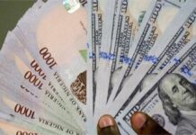 IMF ESTIMATES NAIRA’S FAIR VALUE AT N1,142/$, SAYS CURRENCY 25.6% UNDERVALUED