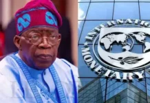 IMF: TINUBU’S REFORMS YIELDING RESULTS, BUT POVERTY CRISIS WORSENS