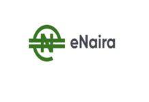 FG MAY PAY SALARIES THROUGH ENAIRA PLATFORM – REPORT
