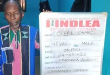 75-YEAR-OLD MAN ARRESTED AS NDLEA INTERCEPTS OVER 320,000 TRAMADOL CAPSULES HIDDEN IN BUILDING MATERIALS (PHOTOS)