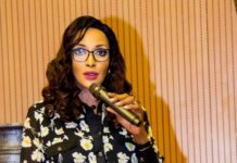 FG WARNS SOUTH AFRICA: RETALIATORY MEASURES OVER ANTI-AFRICAN ATTACKS STILL POSSIBLE
