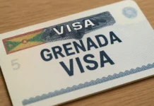 GRENADA OPENS VISA-FREE ENTRY, EYES NIGERIAN INVESTORS