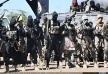 BOKO HARAM, ISWAP CLASH IN SAMBISA FOREST AS OVER 23 TERRORISTS REPORTEDLY KILLED