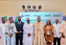 KYARI: SMALLHOLDER FARMERS SUSTAIN NIGERIA’S FOOD SUPPLY BUT FACE DEEPENING POVERTY