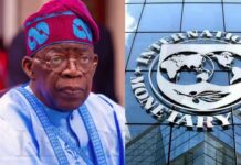 NIGERIA IGNORES WARNINGS FROM THE IMF AND GOES AHEAD WITH ITS A $5 BILLION ARRANGEMENT WITH THE UAE