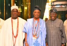 TINUBU QUESTIONS GOVERNORS OVER RISING INVESTMENT IN NON-ESSENTIAL PROJECTS