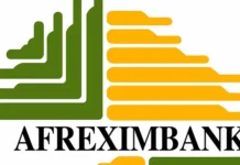 EVS: AFREXIMBANK WANTS NIGERIA, OTHER AFRICAN COUNTRIES TO STOP EXPORTING LITHIUM