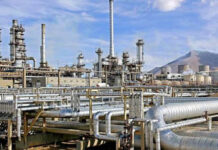 PETROAN URGES FG TO REVIVE STATE REFINERIES, WARNS AGAINST RELIANCE ON SINGLE FUEL SUPPLIER