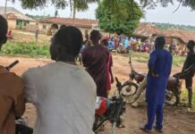 BANDITS ATTACK KWARA COMMUNITY, KILL WOMAN, ABDUCT RESIDENTS