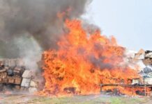 NDLEA DESTROYS N301BN WORTH OF COCAINE, HEROIN AND OTHER ILLICIT DRUGS IN LAGOS