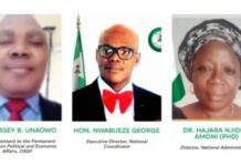 ALLEGED FAKE AGENCY BUILT EXTENSIVE STRUCTURE BEFORE ICPC INTERVENTION