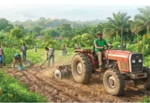 FROM OKADA TO FARMLAND: HOW NORTHERN YOUTHS ARE BUILDING NEW LIVELIHOODS IN OGUN