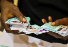 INEC ANNOUNCES COMMENCEMENT OF PVC COLLECTION FOR 2027 ELECTION