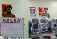 NDLEA ARRESTS ITALY-BOUND BUSINESSMAN WITH 4.80KG OF COCAINE HIDDEN IN SHOES AND TRAVEL BAGS