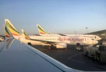 ISRAEL TURNS BACK ETHIOPIAN AIRLINES CARGO FLIGHT OVER INDONESIAN PILOT
