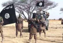 INSECURITY: BOKO HARAM KILLS 15 FARMERS ON THEIR FARMS IN BORNO